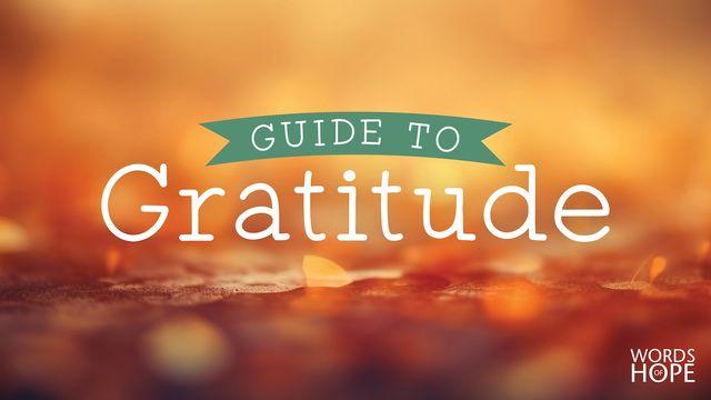 A Guide to Gratitude