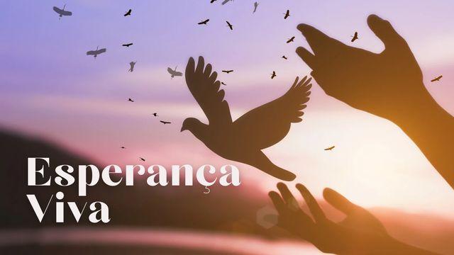 Esperança Viva