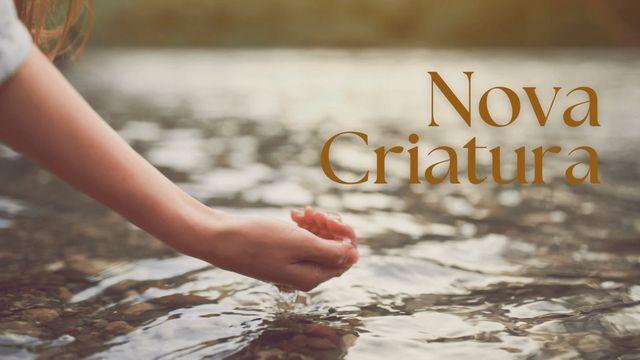 Nova Criatura