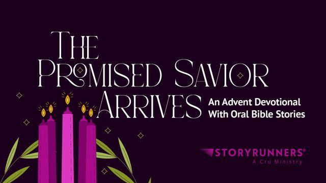 The Promised Savior Arrives