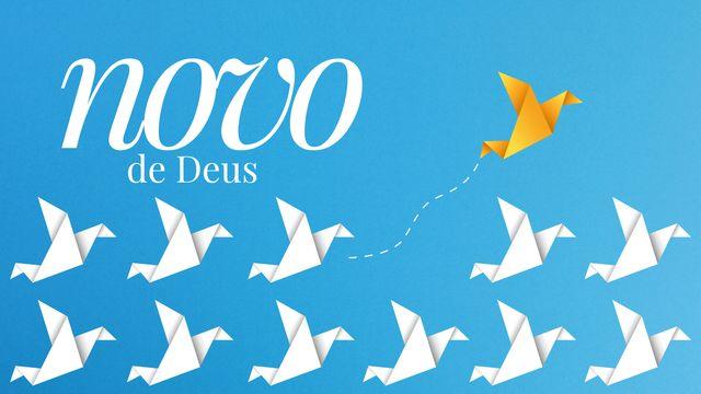 O NOVO DE DEUS