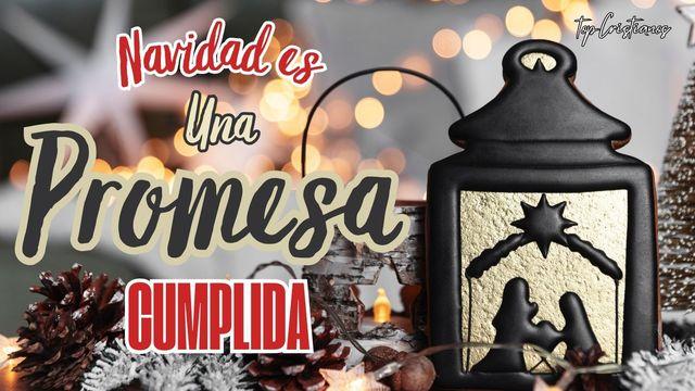 Navidad Es Una Promesa Cumplida