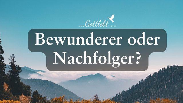 Bewunderer oder Nachfolger?