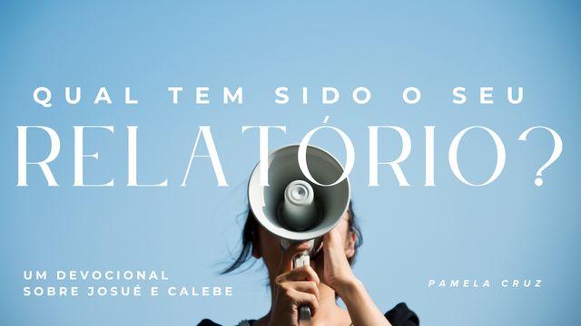 Qual o seu relatório?