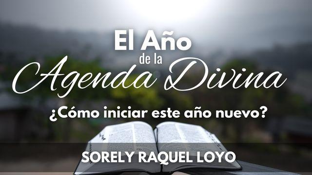 El Año De La Agenda Divina