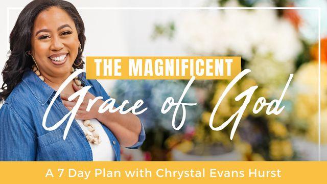 The Magnificent Grace of God Devotional