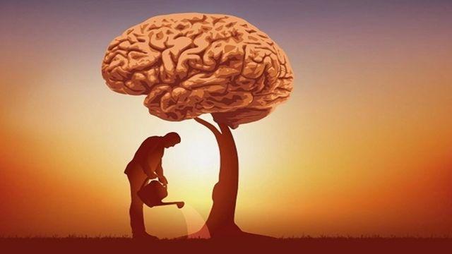 Salmo 37: Consejos para vivir con sabiduría