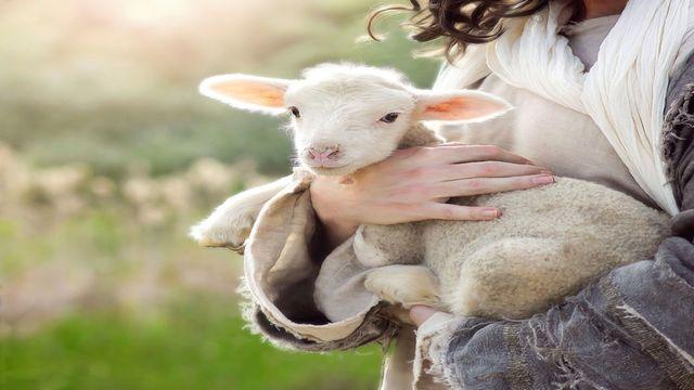Salmo 23: Jehová Es Mi Pastor