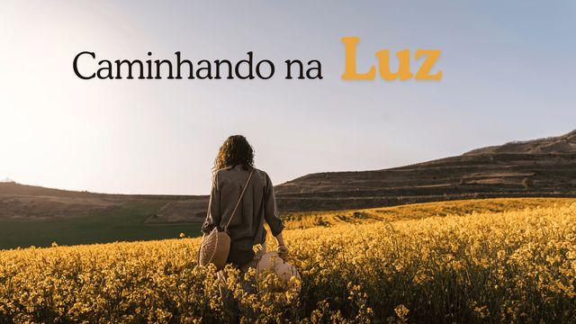 Caminhando Na Luz