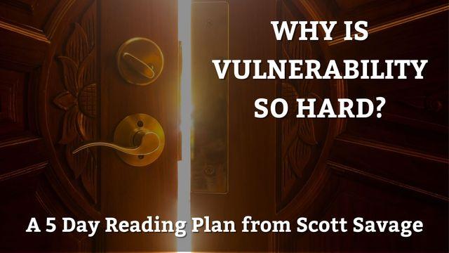 Why Is Vulnerability So Hard?