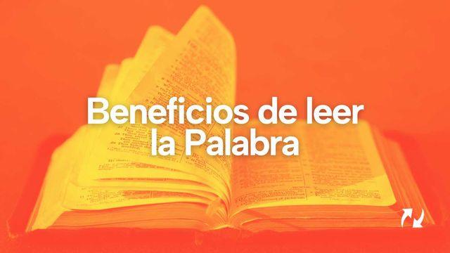 Beneficios De Leer La Palabra