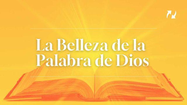 La Belleza De La Palabra De Dios