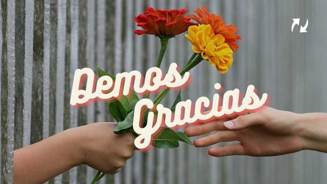 Demos Gracias