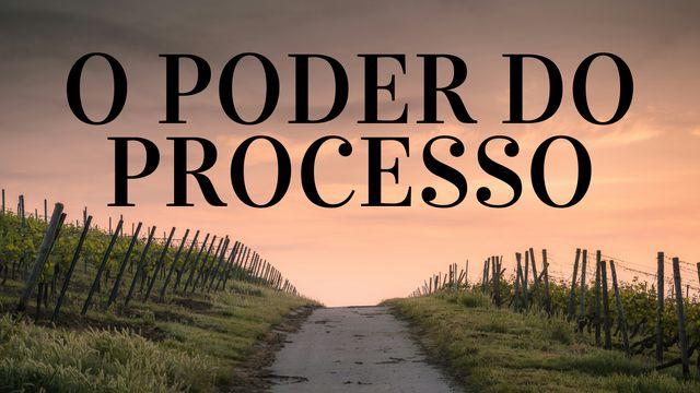 O Poder do Processo