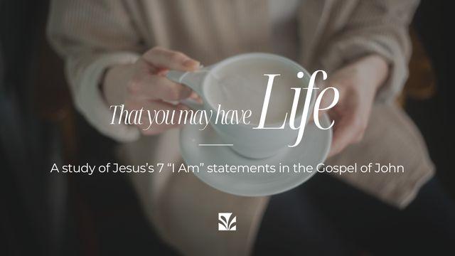 That You May Have Life: A Study of Jesus's 7 "I AM" Statements in the Gospel of John