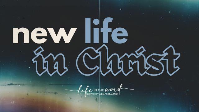 New Life in Christ