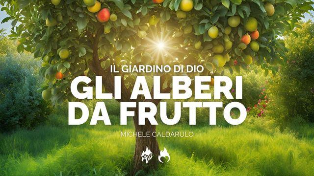 Il Giardino Di Dio