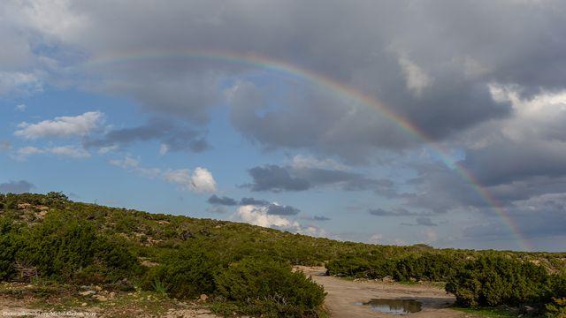 Noah: A Covenant With Humanity