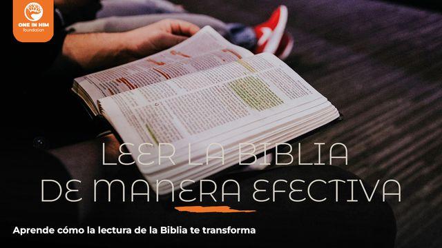 Leer La Biblia De Manera Efectiva