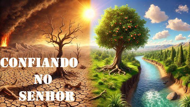 Confiando no Senhor