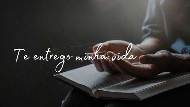 Te Entrego Minha Vida
