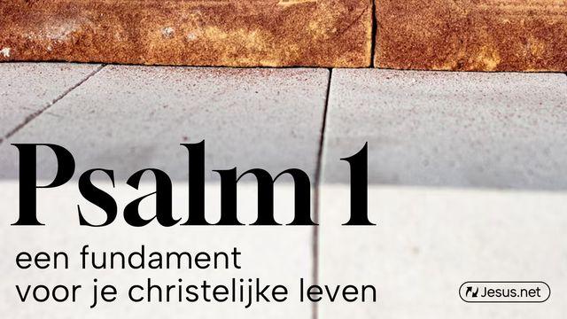 Psalm 1 - Een fundament voor je christelijke leven