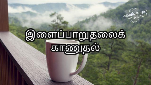 இளைப்பாறுதலைக் காணுதல்