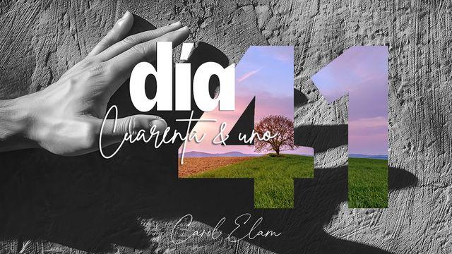 Día 41