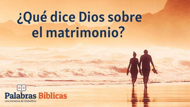 ¿Qué Dice Dios Sobre El Matrimonio?