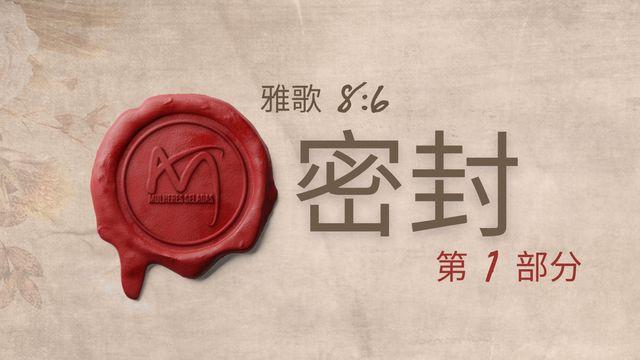 密封 - 第 1 部分