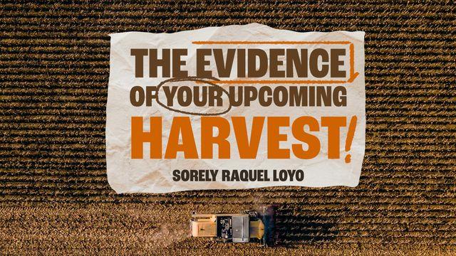 The Evidence of Your Upcoming Harvest!