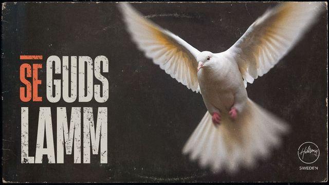 Se Guds Lamm