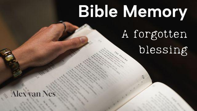Memorizing Your Bible