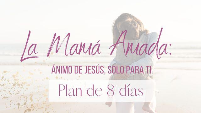 La Mamá Amada: Ánimo de Jesús, solo para ti