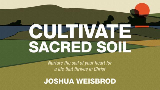 Cultivate Sacred Soil