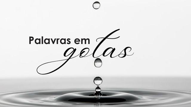 Palavra Em Gotas: Reflexões Diárias Para Uma Vida Em Cristo