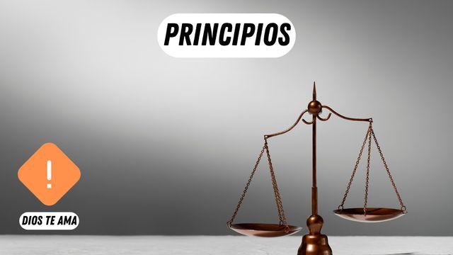 Principios Para La Vida en El Reino De Dios