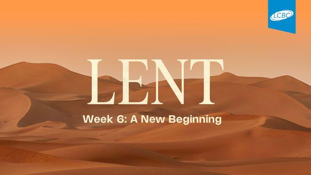Lent | Week 6: A New Beginning