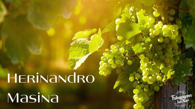 Herinandro Masina - Fandinihan-Tena