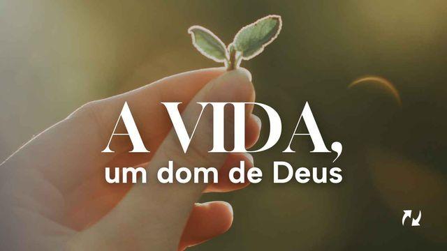 A vida, um dom de Deus