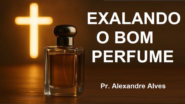 Exalando o Bom Perfume