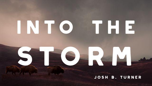 Into the Storm