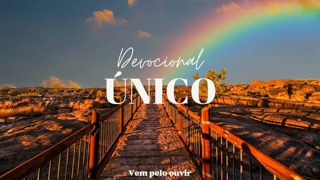 Devocional - Único