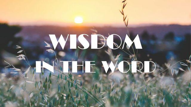 Wisdom in the Word