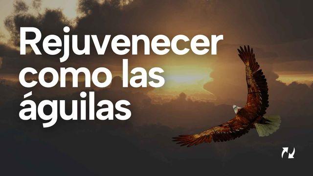 Rejuvenecer Como Las Águilas