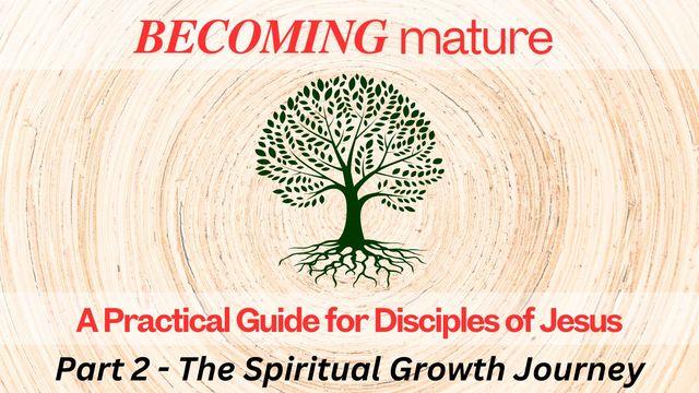 A Practical Guide for Transformative Growth Part 2