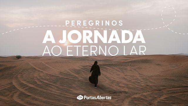 Peregrinos | A jornada ao eterno lar