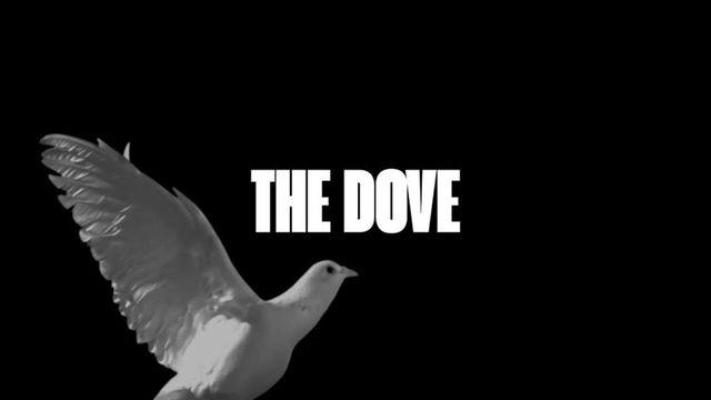 The Dove
