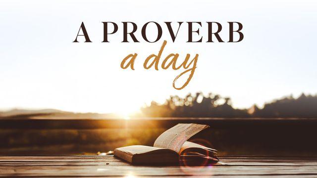 Daily Wisdom: A Proverb-a-Day