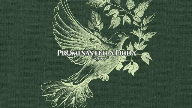 Promesas en la Duda